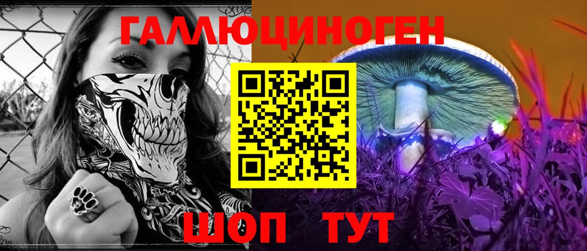 Курчалой  Галлюциногенные грибы ЛСД  Вход с VPN 